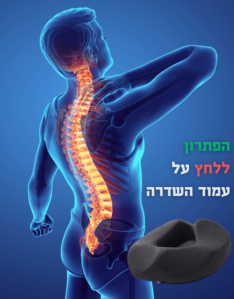 כרית ישיבה ארגונומית - פתרון לכל מי שצריך נוחות ותמיכה | כרית ישיבה ארגונומית - פתרון לכל מי שצריך נוחות ותמיכה | אוזו - שופ